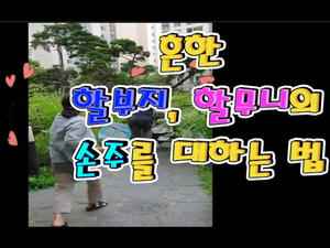 [VLOG]흔한 할부지 할무니의 손주를 대하는 방법 1,2 [현뜽TV]