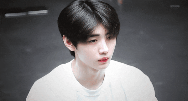  가만히 있어도 서사 오조오억개인 아이랜드 박성훈