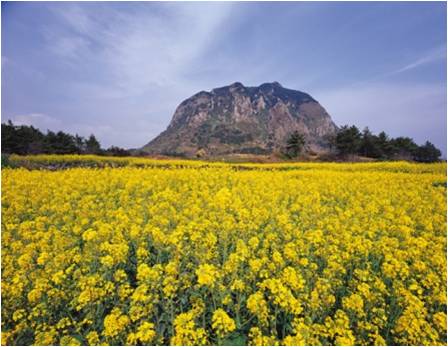  [국내문화탐방]제주도 산방산
