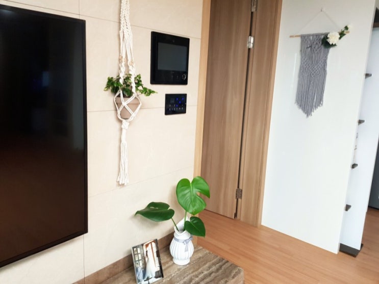  마크라메 DIY: 행잉플랜트로 인테리어하기