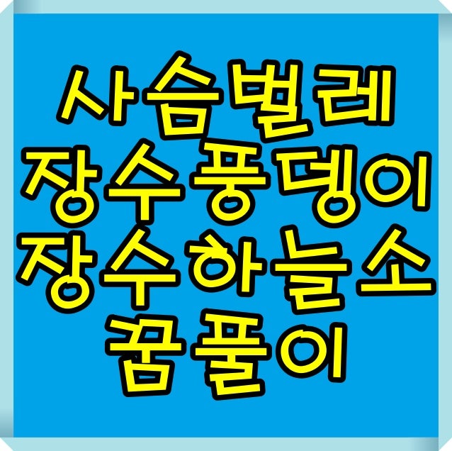 사슴벌레 꿈 장수풍뎅이 꿈 장수하늘소 꿈 태몽 등 해몽 의미