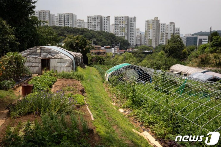  "그린벨트 풀린다" 강남 내곡동·세곡동 동호수 묻지도 않고 산다