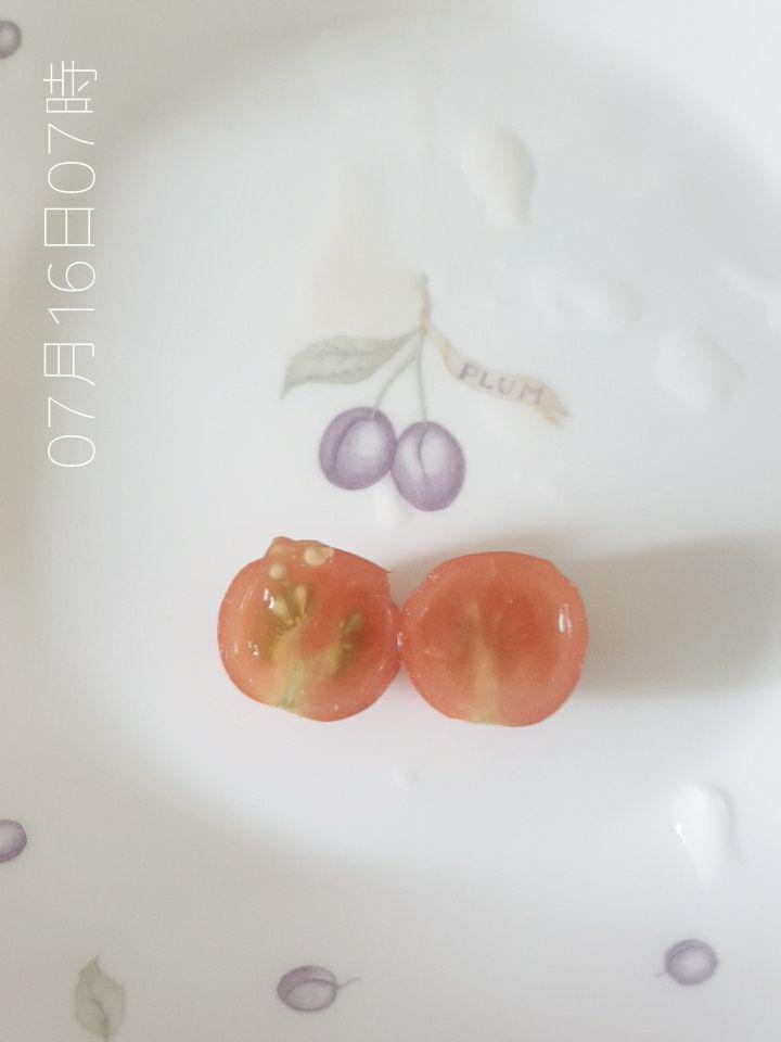 방울 토마토 키우기
