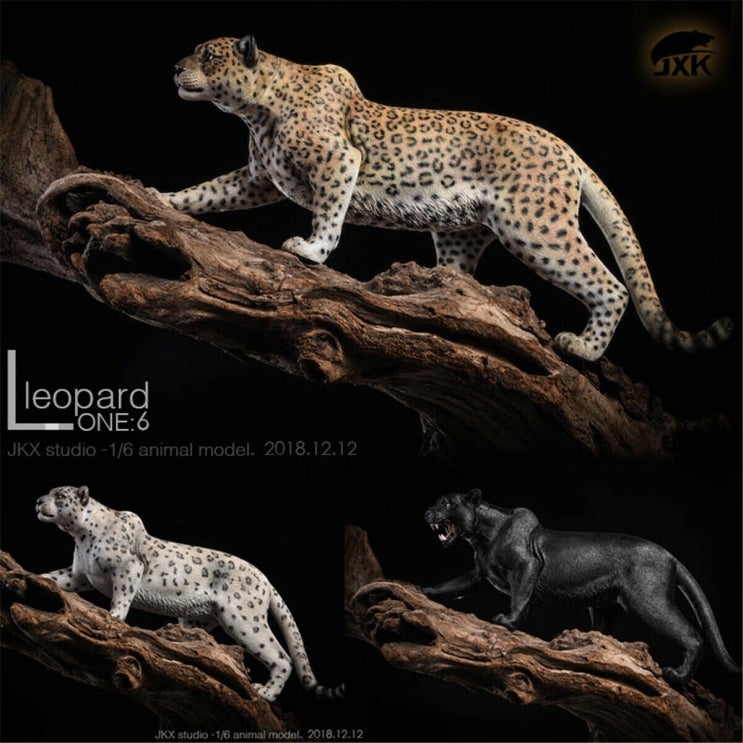 [프리뷰] 『JxK Studio』 1/6 The Leopard (표범 3종)