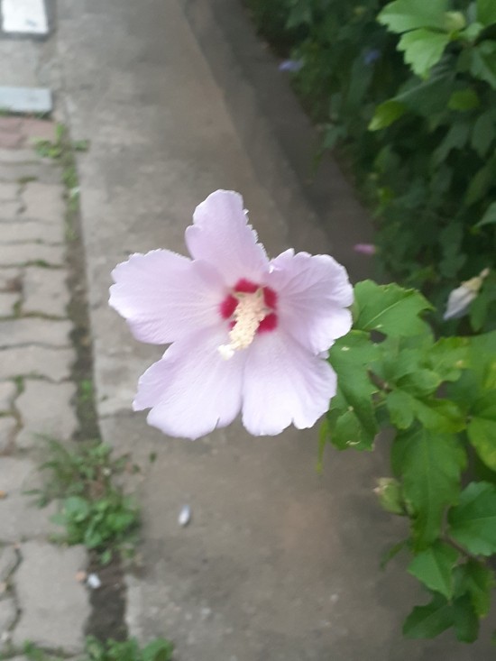 [창이 집 앞]
