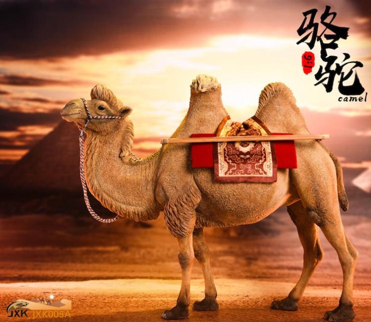  [출시 소식] 『JxK Studio』 1/6 The Camel (낙타 3종)