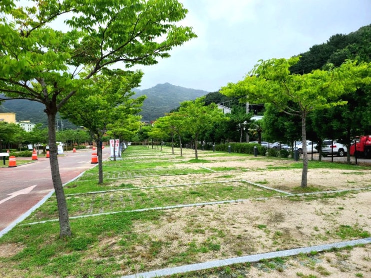  거제 캠핑장 학동오토캠핑장 조금은 아쉬웠던곳