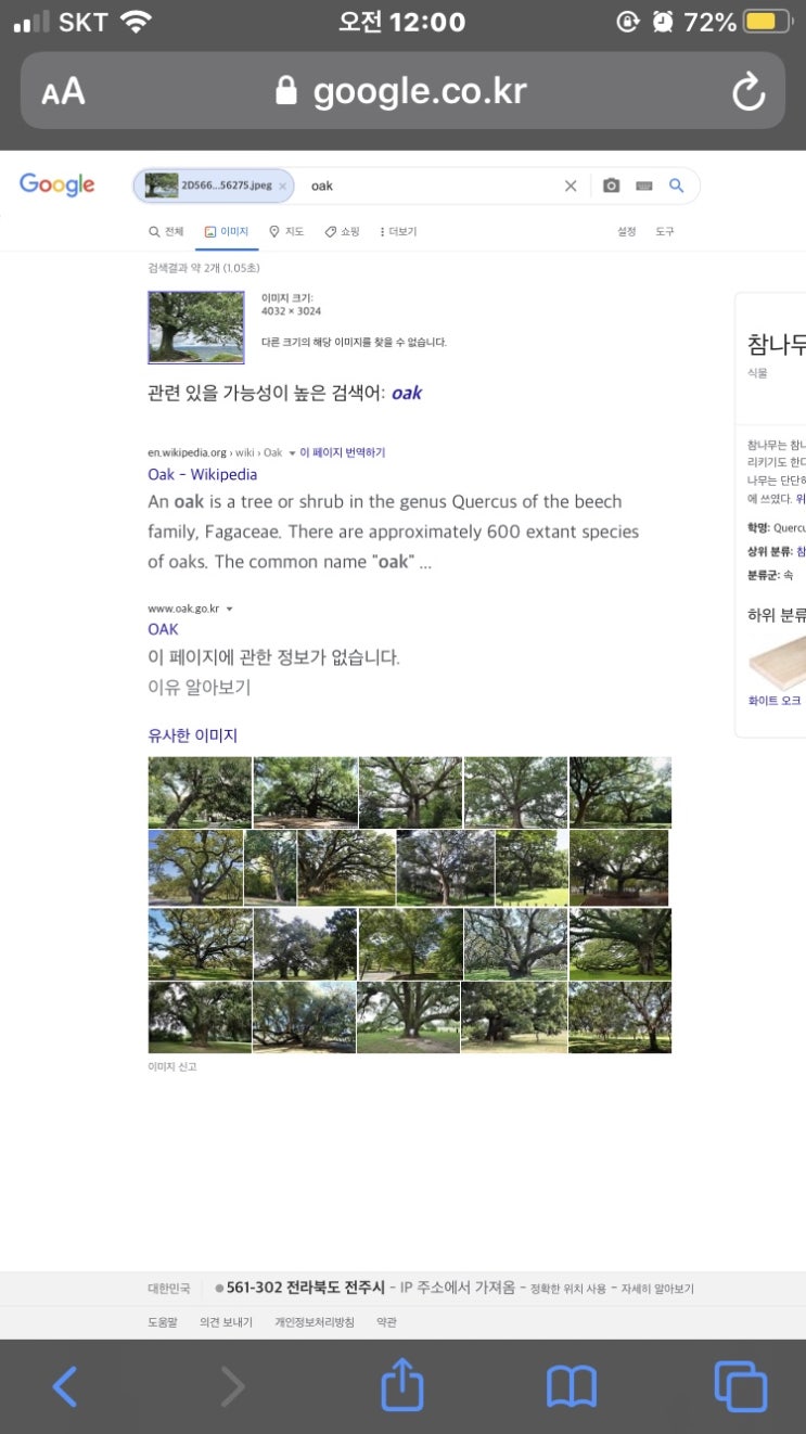 아이폰 구글 이미지 검색하는 방법(사파리로 간편하게 가능) 아이폰 구글 이미지 검색하는 방법(사파리로 간편하게 가능)