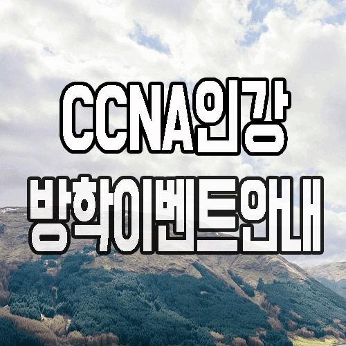 CCNA인강 : 인강으로 자격증 취득에 실무능력까지