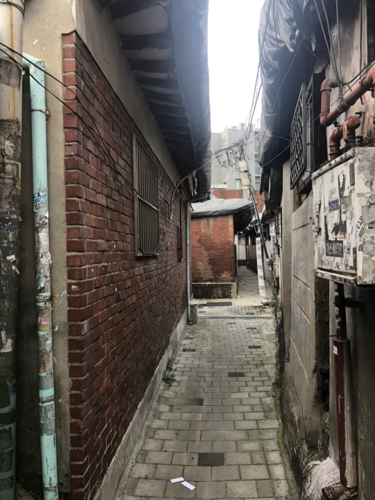  골목