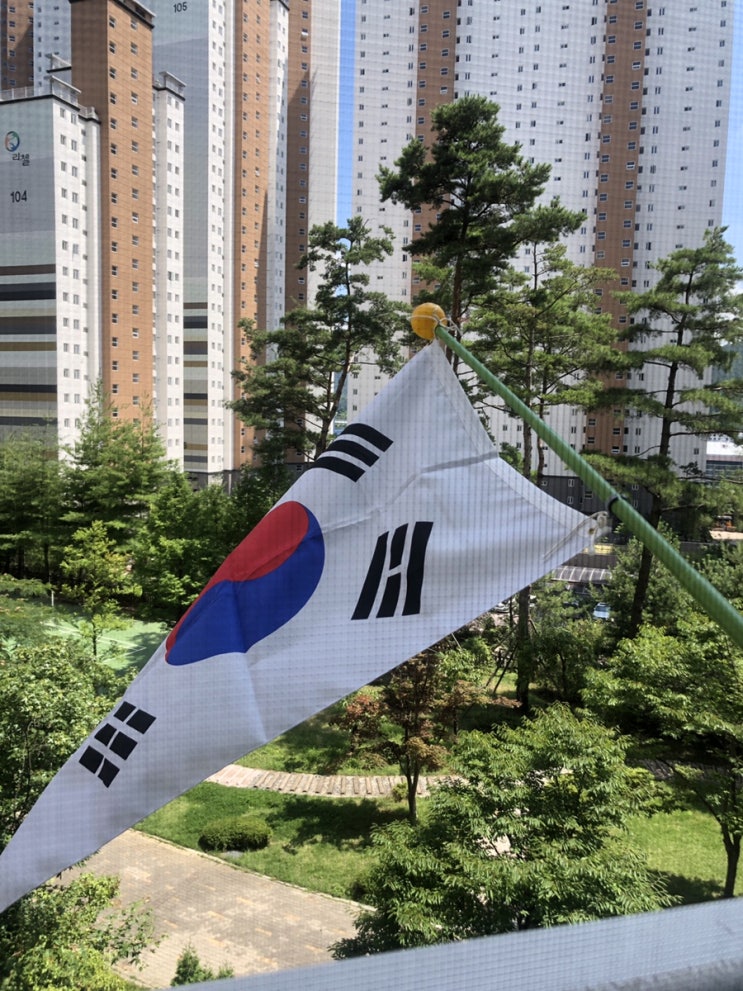  불금일상 (feat. 제헌절)