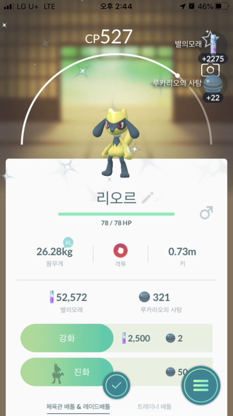  리오르 이로치