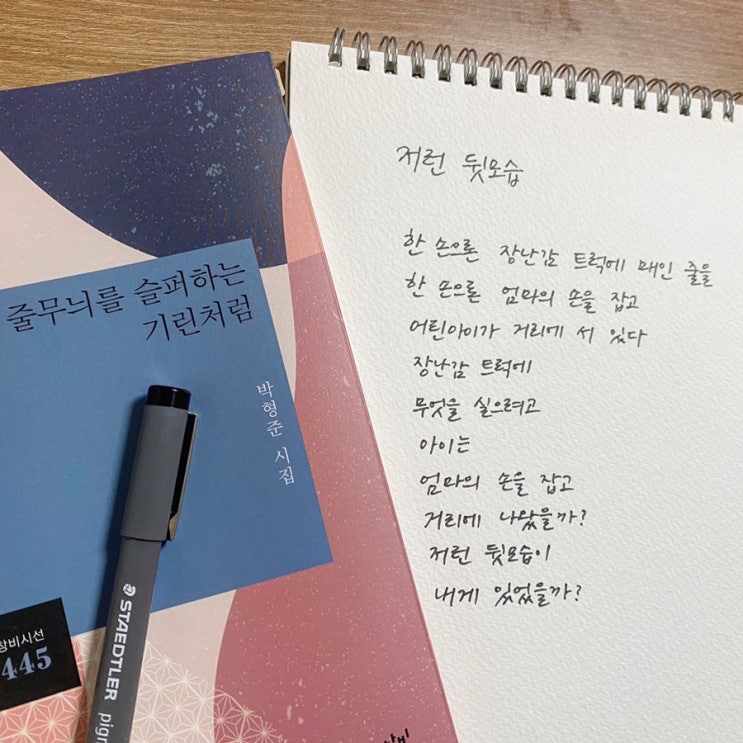  책장속한줄: '줄무늬를 슬퍼하는 기린처럼' 1