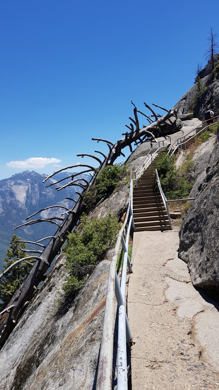  Sequoia National Park Best 4 | 세코야 2 - Moro Rock Trail