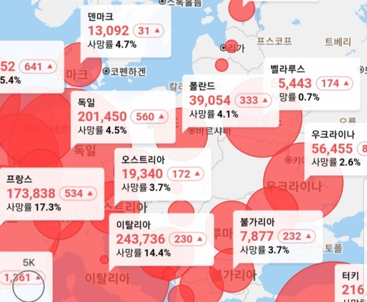  천안 자가 격리자 구호키트