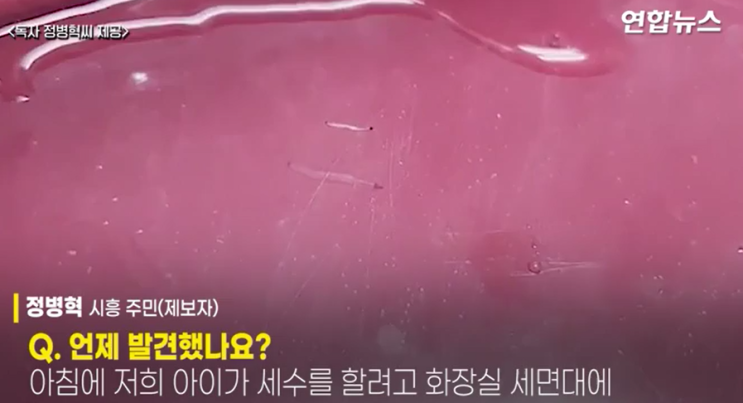  인천에 이어 시흥에서도 샤워기 틀자마자 유충이 튀어나와....