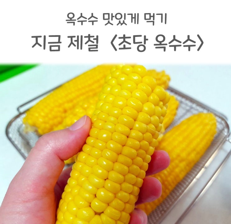  지금이 제철 : 초당옥수수  찌는법, 보관법