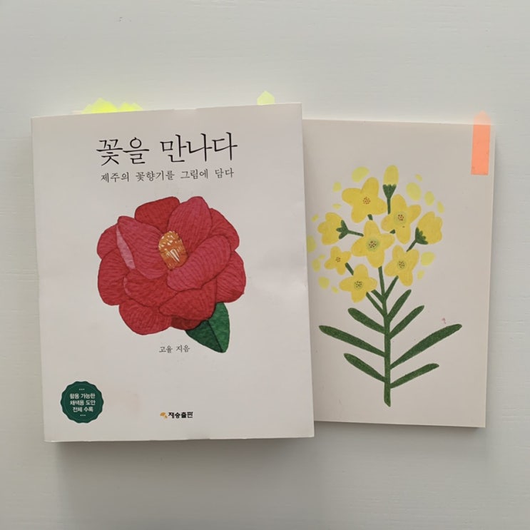 그림그리기) 꽃을 만나다 -봄- (그림책/꽃그림/취미미술)
