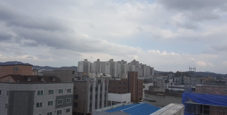  LH 청년전세임대주택 신청방법 및 조건
