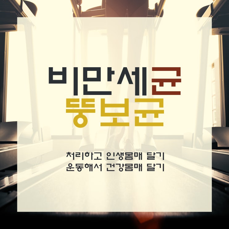  미우새 비만 세균 뚱보균, 퍼미큐테스