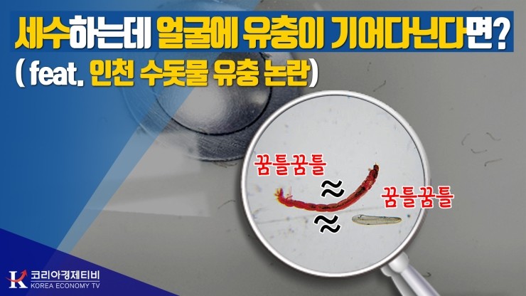 [코리아티비] 세수하는데 얼굴에 유충이 기어다닌다면?