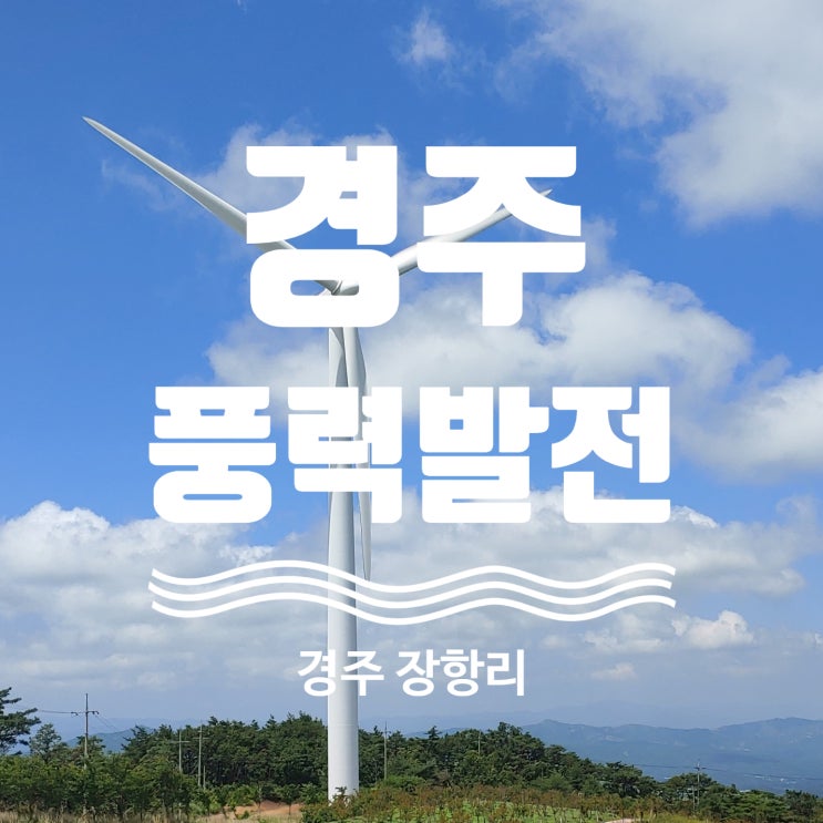  경주 장항리 경주풍력발전 기행기(ft. 신명해수욕장)