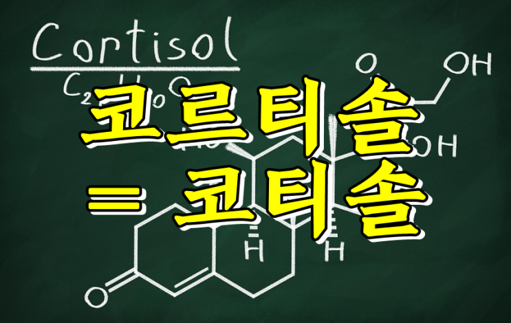  코르티솔(스테로이드 호르몬)의 효과 및 부작용
