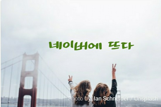  네이버 검색차트에 뜬 내 블로그 글 - 네이버 메인인가요?