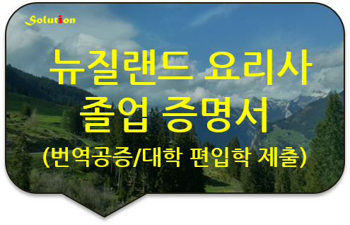 뉴질랜드 전문 요리사 졸업 증명서 번역공증 [전문 요리사 자격증 번역공증][광진/잠실/강동/성동 번역공증대행]