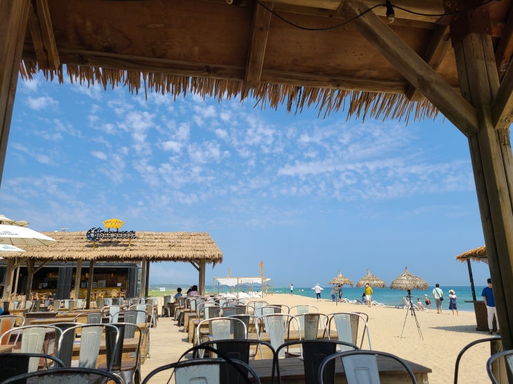  양양 뷰맛집 : 서피비치(Surfyy Beach) 서핑을 안해도 좋아요