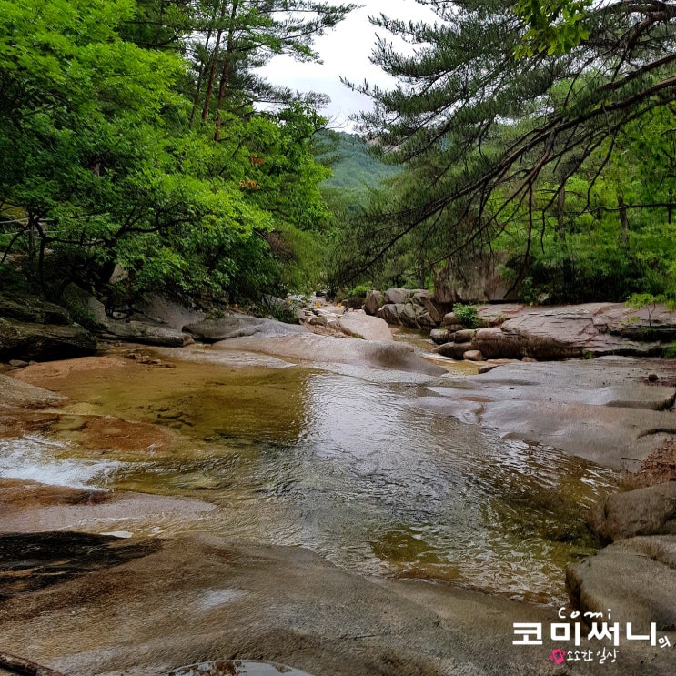 [경북 문경 여행] 대야산자연휴양림 내 용추계곡 절경에 감탄 다시 오고 싶은 곳