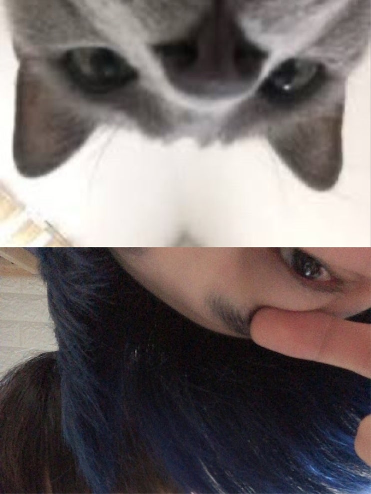  투바투 연준이 닮은 동물들!