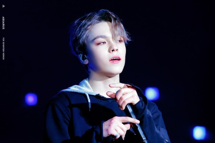멤버중 과반수 이상이 비주얼로 꼽히는 세븐틴 멤버중 과반수 이상이 비주얼로 꼽히는 세븐틴