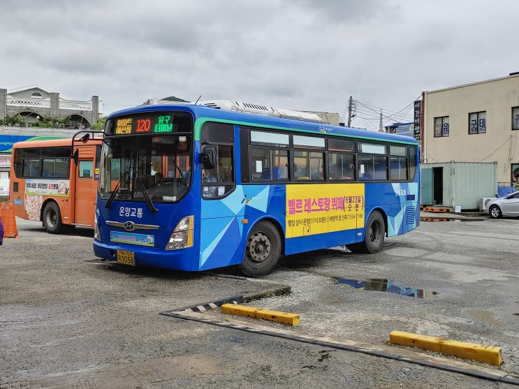 아산시내버스 120번(유구터미널아산고속터미널) Greencity (온양교통)