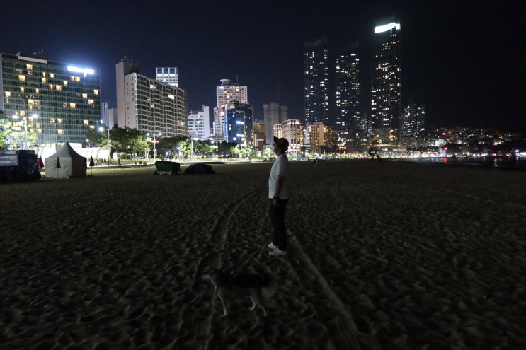  해운대해수욕장 걸어보기 강아지와 밤 산책