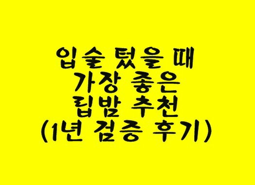 (1년 검증 후기) 입술 텄을 때 가장 좋은 립밤 추천 + 입술 도톰해지는 건 덤