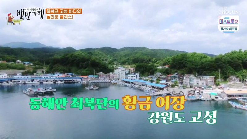 식객 허영만의 백반기행 60회 고성 밥상 네이버 블로그