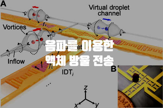  음파를 이용한 액체 방울 전송 시스템