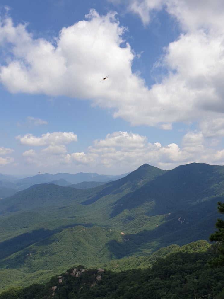  100대명산-46, 대야산 등산 코스(속리산 국립공원, 용추계곡 주차장~용추계곡~월영대~밀재~대야산~피아골)