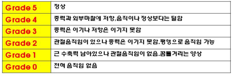  <널스스토리> hemiparesis,  hemiplegia차이  NS Motor grade check 3탄