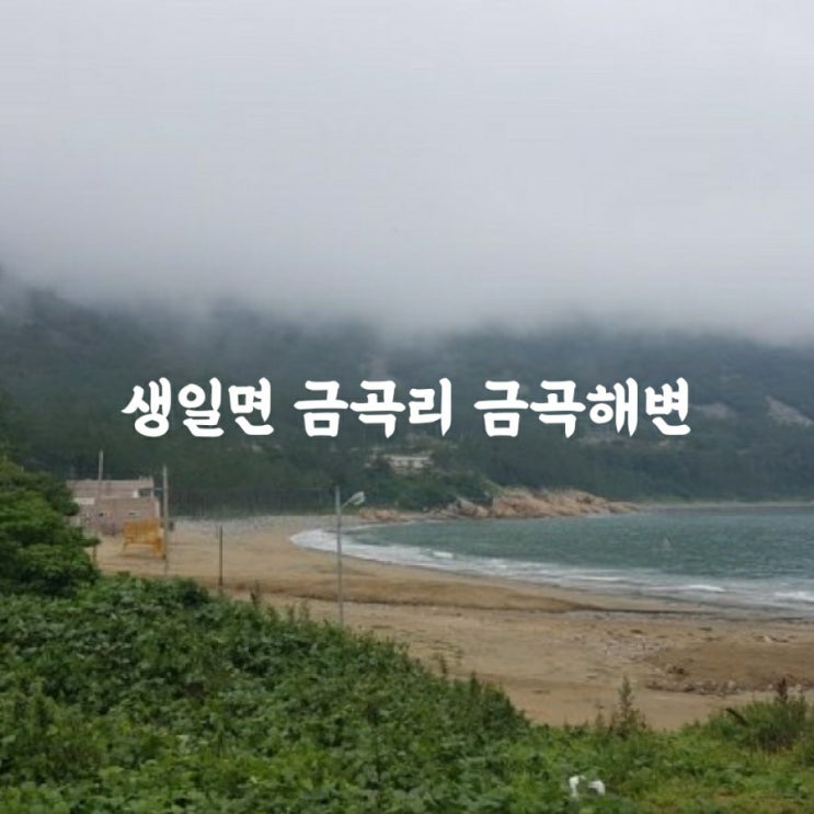  생일면 금곡리 금곡해변