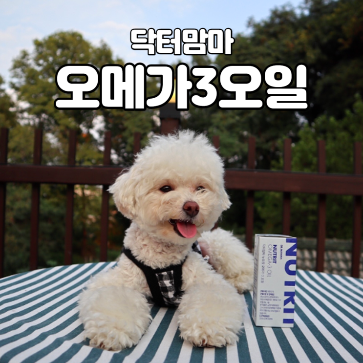  강아지오메가3 산패걱정없이 안심하고 먹일수있는 <닥터맘마 오메가-3오일>