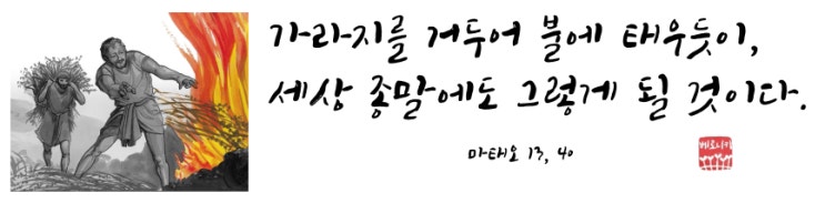 가라지를 거두어 불에 태우듯이, 세상 종말에도 그렇게 될 것이다. 가라지를 거두어 불에 태우듯이, 세상 종말에도 그렇게 될 것이다.