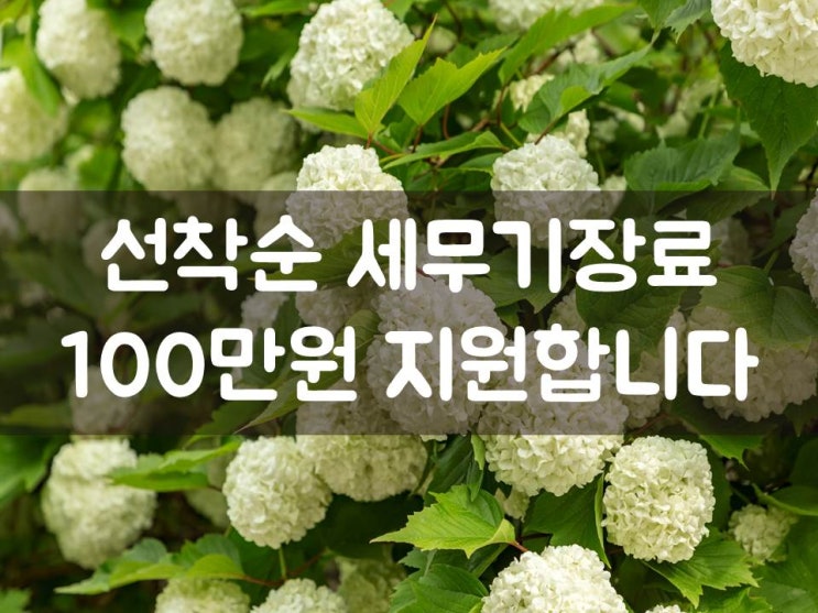 선착순 세무기장료 100만원 지원합니다