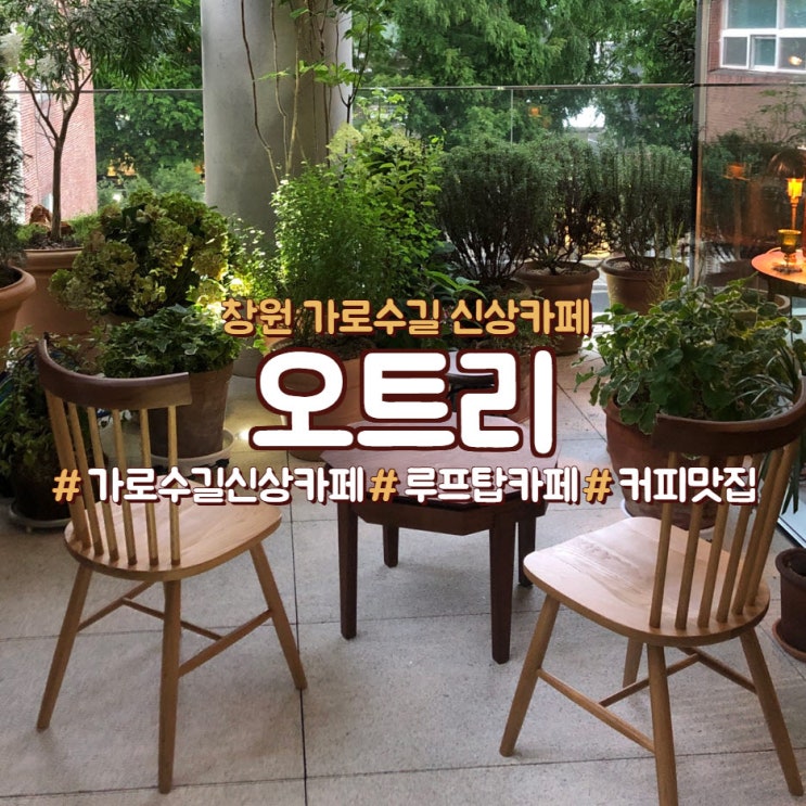  창원 가로수길 오트리, 루프탑 카페,<오트리>