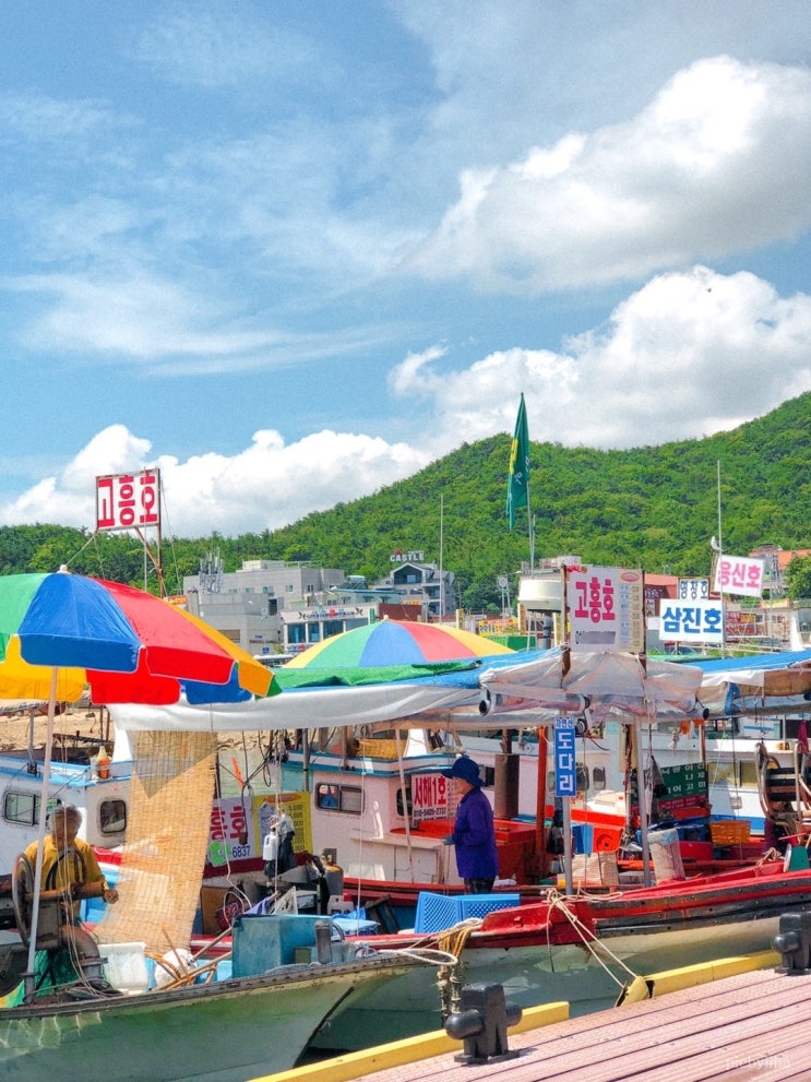 [서산여행/삼길포] 선상횟집에서 신선한 회 뜨기!&바다가 한눈에 보이는 카페 소진담 추천