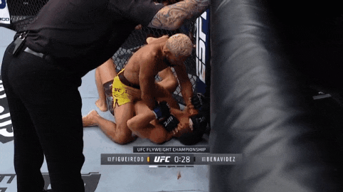 UFC 파이트 아일랜드 2: 피게이레도 vs 베나비데즈 2 피니쉬 영상(GIF) 및 뒷얘기