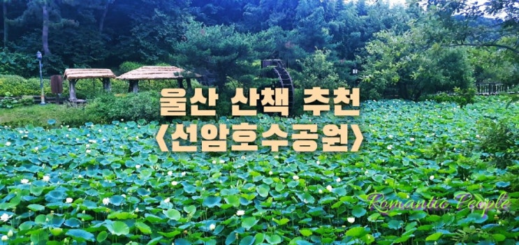 울산 산책추천&lt;선암호수공원&gt;