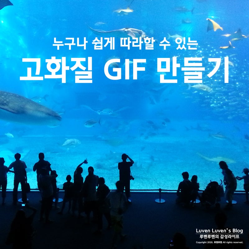 SNS, MP4 동영상을 고화질 GIF로 변환해서 만들기! : 네이버 블로그 Sns, Mp4 동영상을 고화질 Gif로 변환해서 만들기! : 네이버 블로그