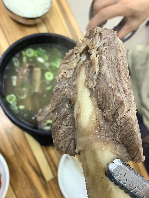  단대오거리 최애 맛집 옥동갈비탕. 갈비크기 보소